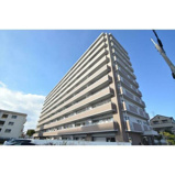 フィール清船の画像