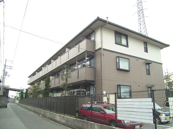 ハイカムール21