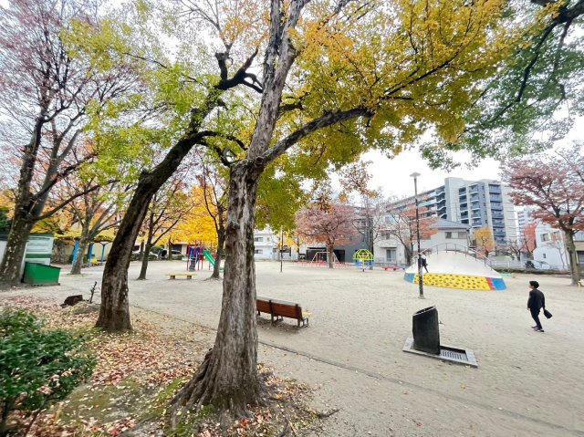 クレサス稚児宮.mの展望|クレサス稚児宮.m