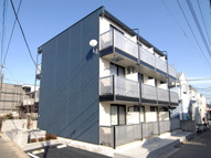 ひめこぶしの画像