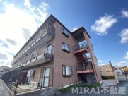 Selley’ｓ金剛の画像