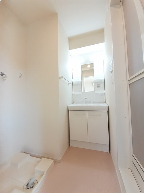 リコーラの洗面所