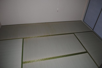 【その他】 | カーサ南千石