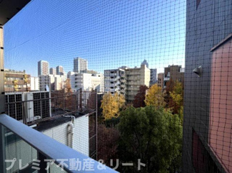 【展望】 | 鳩よけネットが設置