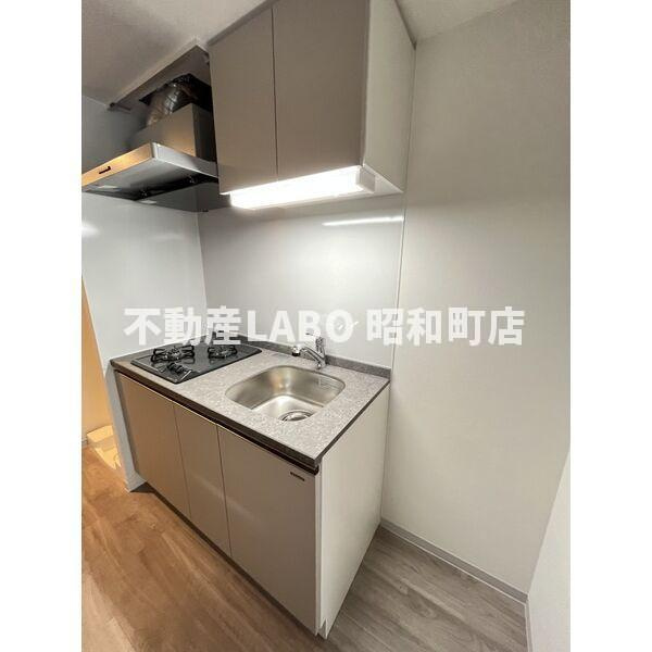 DOUBLE NINE RESIDENCE TENNOJIMINAMIのキッチン