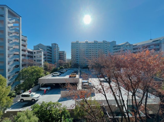 【展望】 | 南向きで陽当たり良好です。前面に大きな建物も無いので眺望も良好♪