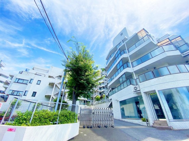 東急田園都市線「溝の口」キャニオンマンション溝の口 の画像