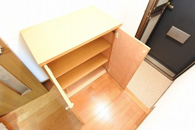 【玄関】 | DSパークレジデンス大濠 | 別号室の写真になります。現況優先。