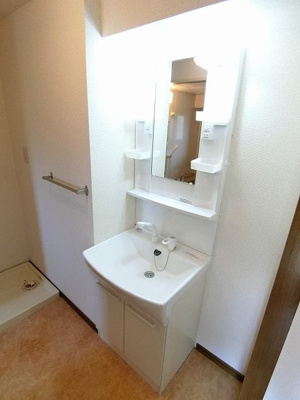 【洗面所】 | DSパークレジデンス大濠 | 別号室の写真になります。現況優先。