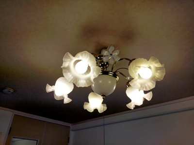 【その他】 | アベニューＳＡいずみ・