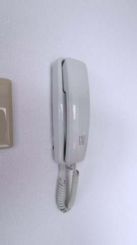 神戸市西区伊川谷町潤和の賃貸マンションのセキュリティ