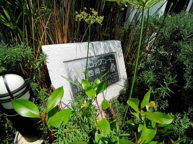 シャムロックコート西岡本のその他