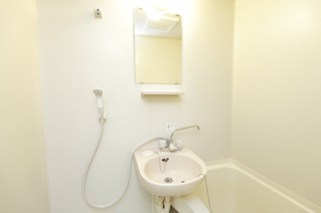 エステートピア細田の洗面所