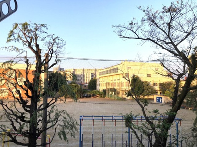 【展望】 | passero java