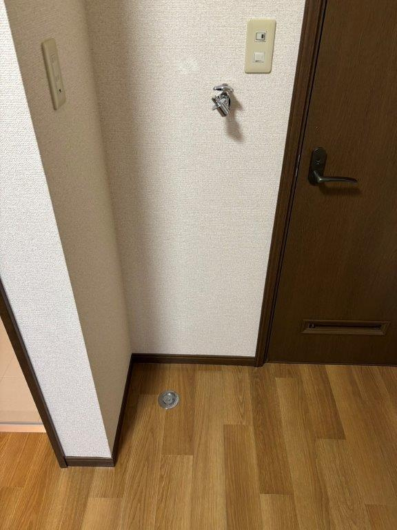 メゾンシーダの洗面所