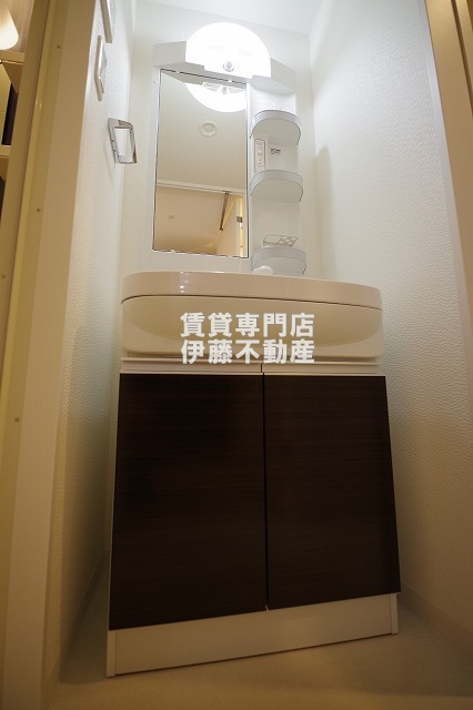 LaDouceur黒川Ⅱの洗面所