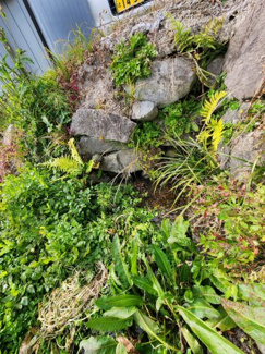  | 岩本町土地②