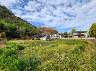  | 岩本町土地②