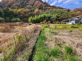  | 岩本町土地②