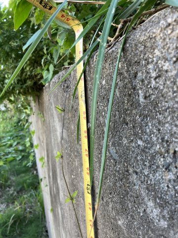 磯原町上相田字裏木戸 売土地の周辺