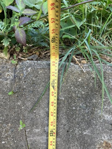 磯原町上相田字裏木戸 売土地の周辺