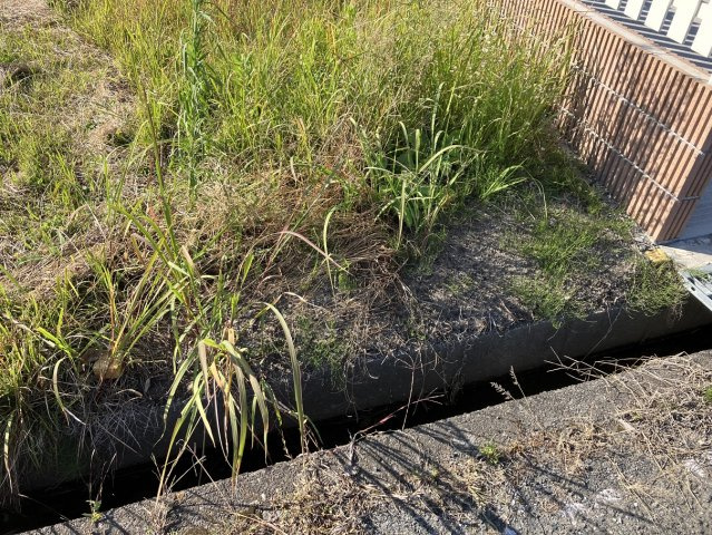 磯原町上相田字裏木戸 売土地の外観