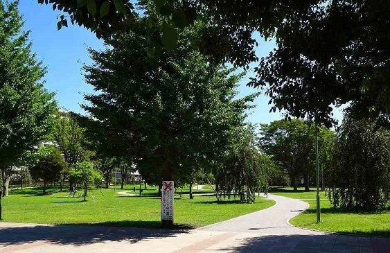 ノース　ヒル　レジデンスの周辺|福岡中央公園まで700m