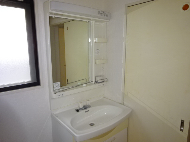 メゾン八代の洗面所