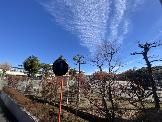 【その他】 | 入間ロイヤルマンション | マンション東側に小学校がありお子様の通学は近くて安心です。