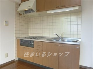 広島市安佐北区口田南８丁目の賃貸マンションのキッチン|２口ガスコンロ付きシステムキッチン