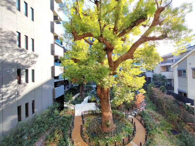 ザパークハウス板橋大山大楠ノ杜の展望