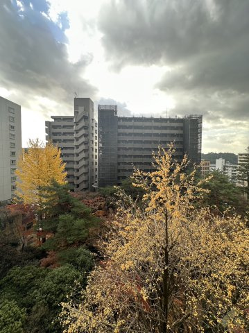 チサンマンション青葉通りの展望