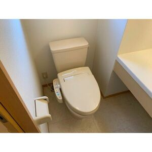 セントポーリアの収納