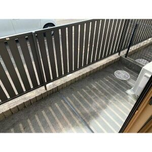 セントポーリア