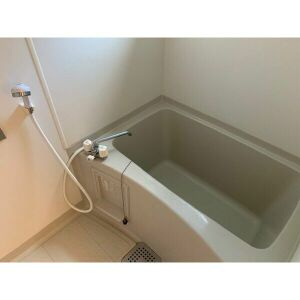 セントポーリアのトイレ