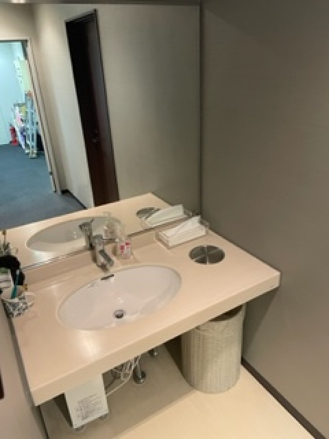 星ビルの洗面所|ゆったりとスペースのある洗面所