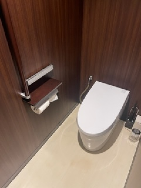 星ビルのトイレ|トイレもきれいです