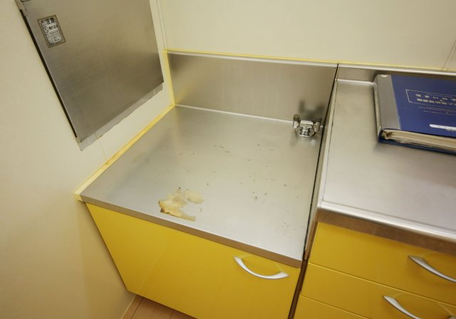 セジュール養父のその他