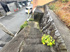 西宮市柏堂西町売り土地の画像