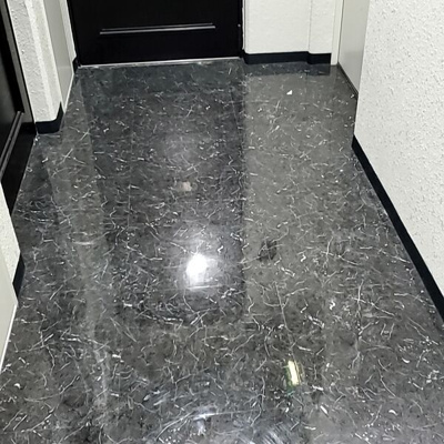 【玄関】 | ドルフィンⅤ