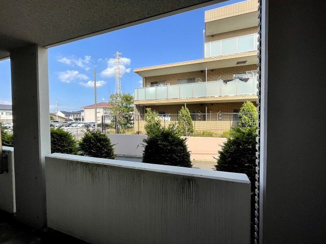 イーストウイングの展望