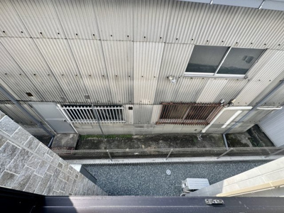 【展望】 | プラシード