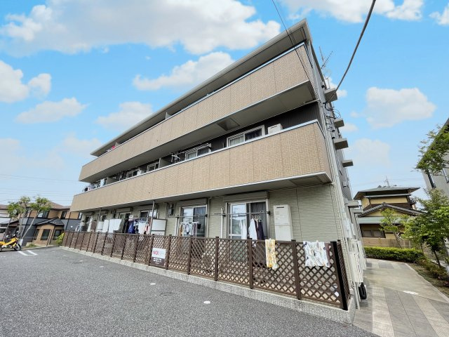 オアシスの展望