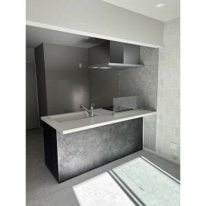 ベリアス　ヴィータのその他