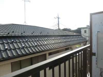 【展望】 | ピア武蔵野