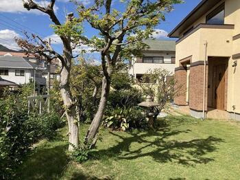 【前面道路含む現地写真】 | 西宮市　松ヶ丘町　中古戸建