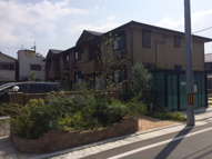 ソレイユドゥの画像