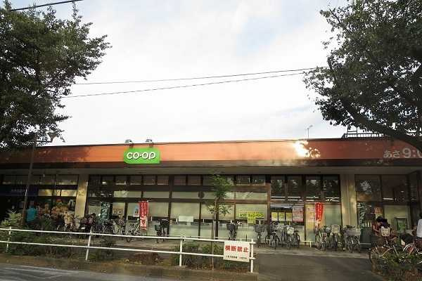こすもすの周辺