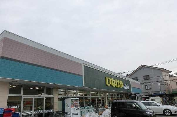 こすもすの周辺