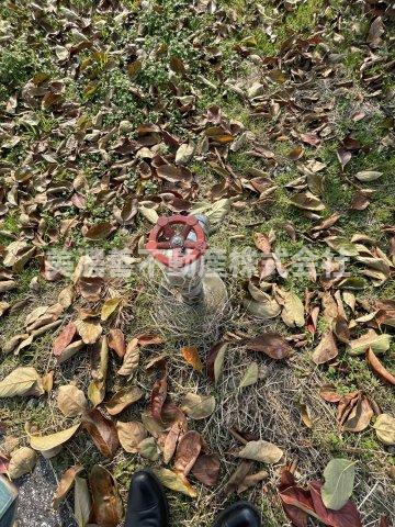 ６２２８４　本巣市宗慶土地のその他